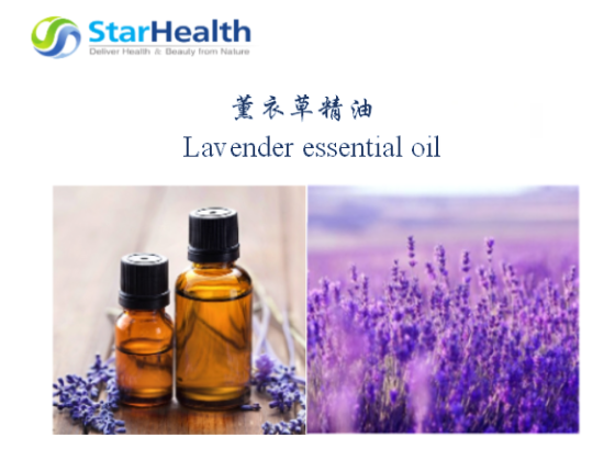薰衣草精油 - Lavender essential oil
